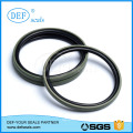 PTFE Ring/Glyring with Imported Raw Material Seals